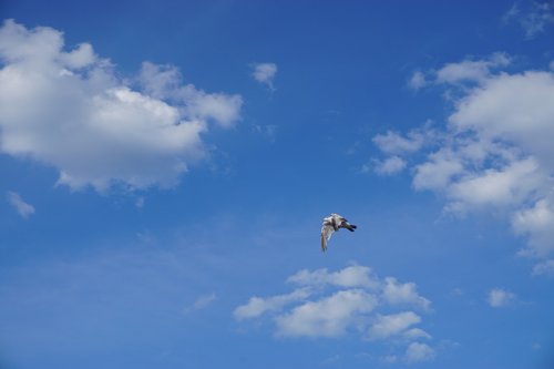 blue sky  sky  clouds