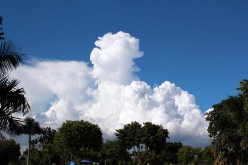 Blue Sky And White Clouds