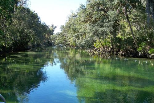 blue springs river florida river