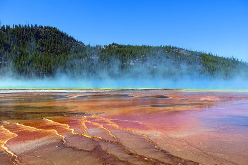 blue steam over grand prismatic  spring  yellowstone