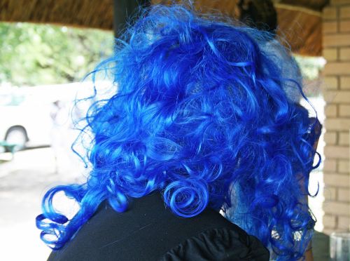 Blue Wig At Dress-up