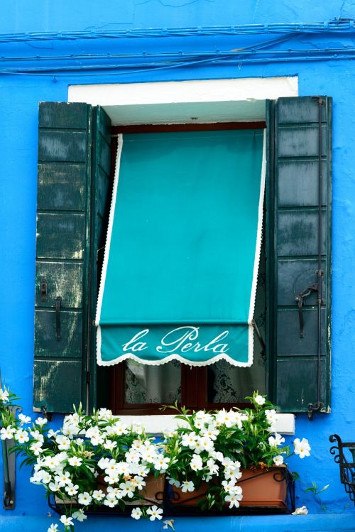 blue window home balcony plants