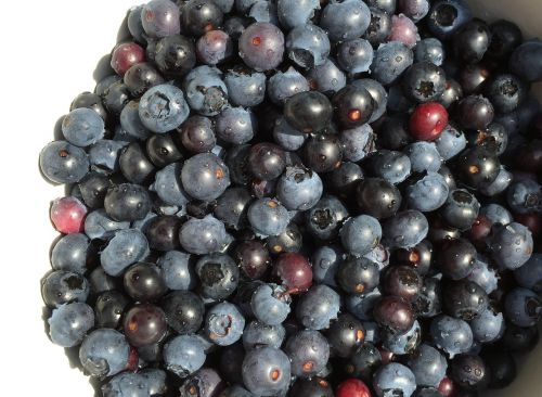 blueberries berry fruits