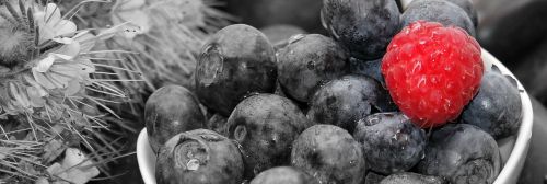 blueberries raspberry fruits
