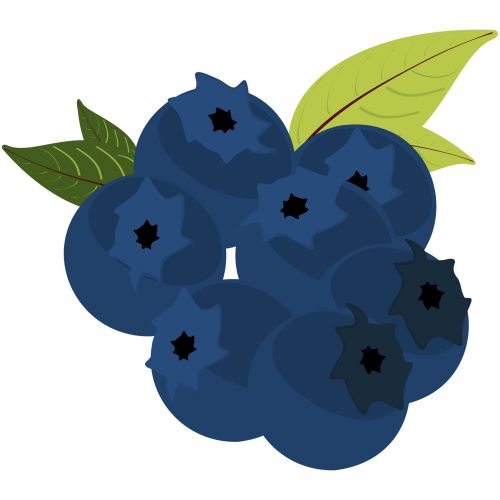 Blueberries