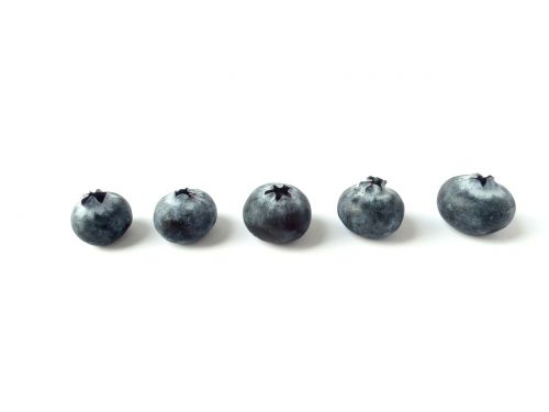 blueberries fruit fruits