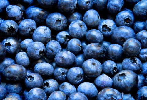 blueberries breakfast muesli