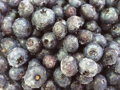 blueberries fruit frozen