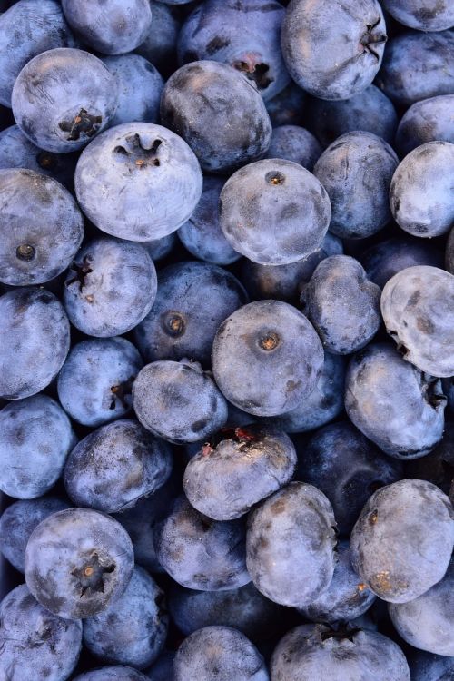 blueberries delicious fruit