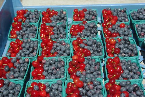 blueberries cherries fruit