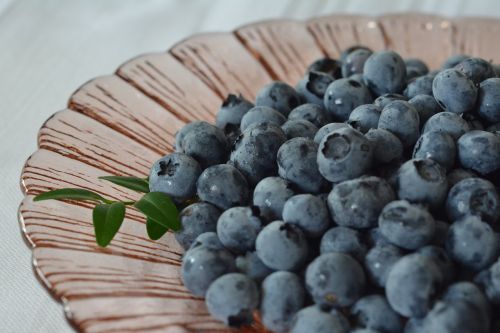 blueberries bilberry berries