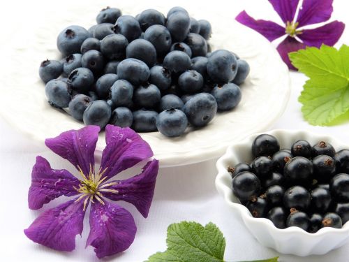 blueberries black currants clematis