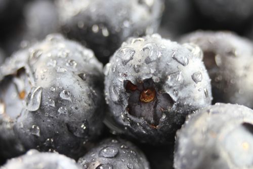 blueberries closeup fresh