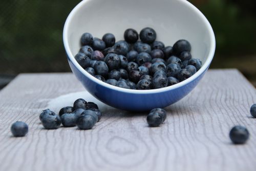 blueberries fruit fruits