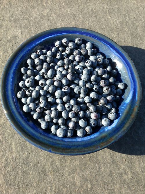 blueberries blue berries scale