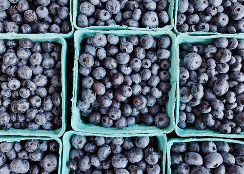 blueberries  berries  fruit