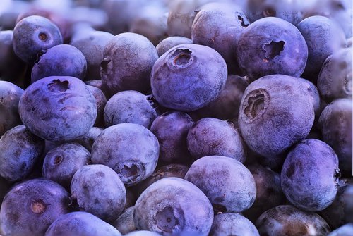 blueberries  macro  fruit