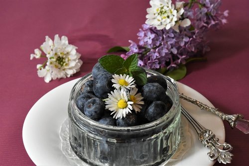 blueberries  berry fruit  food
