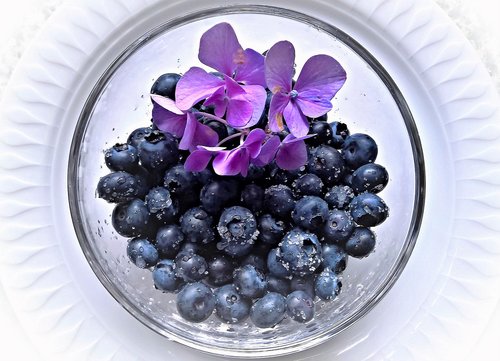 blueberries  fruits  fruit