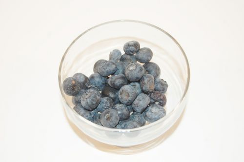 blueberries fruit season