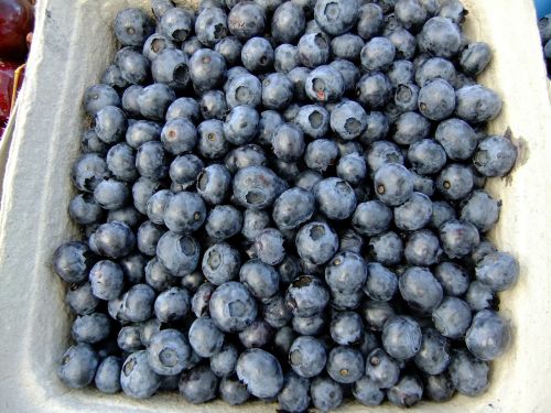 blueberries fruit eat