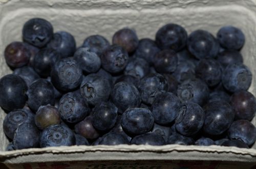 blueberries berries shell