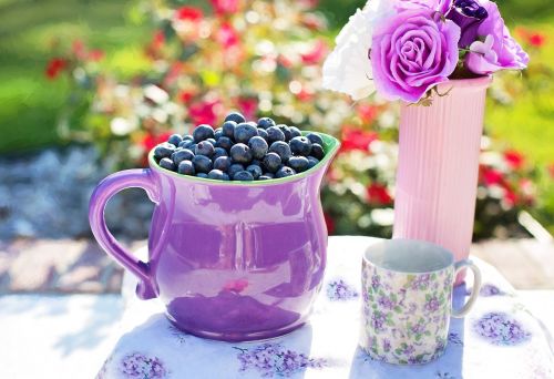 blueberries summer fruit