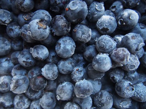 blueberries fruits food