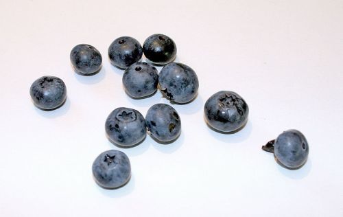 blueberry black berry wild berry