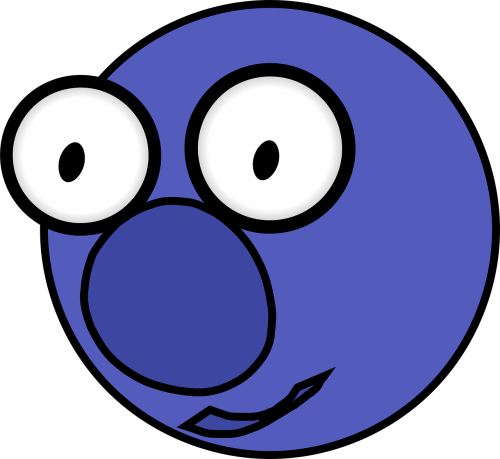 blueberry face fruit