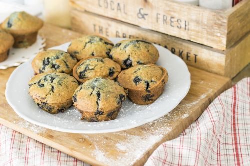 blueberry muffin muffins