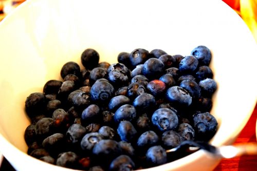 blueberry fruit fresh