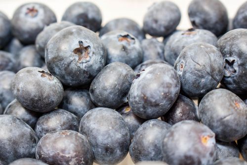 blueberry food fruit