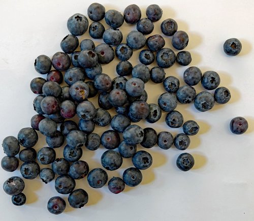 blueberry  berry