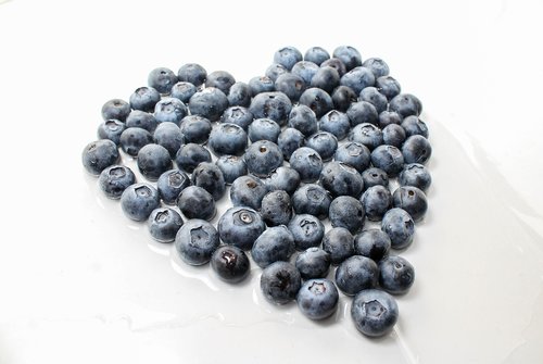 blueberry  berry  food