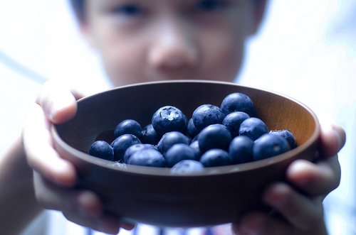 blueberry  blueberries  blue