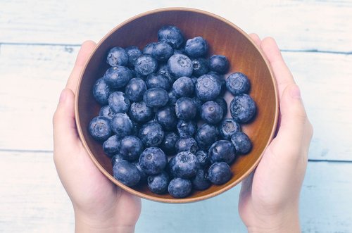 blueberry  blueberries  blue