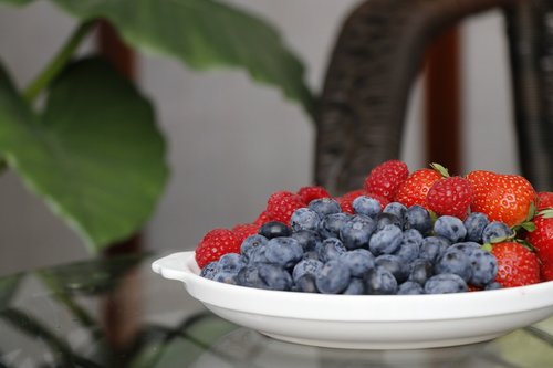 blueberry  berry  fresh