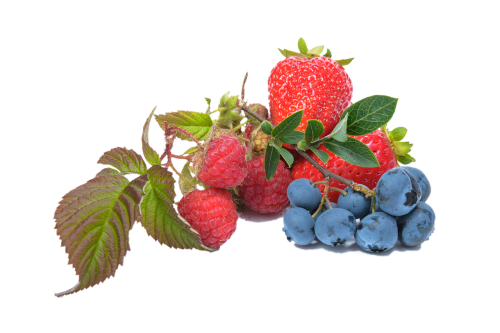 blueberry raspberry strawberry