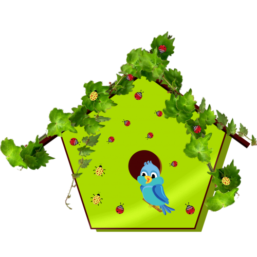 bluebird bird birdhouse