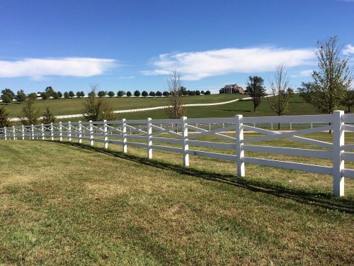 bluegrass fence rural