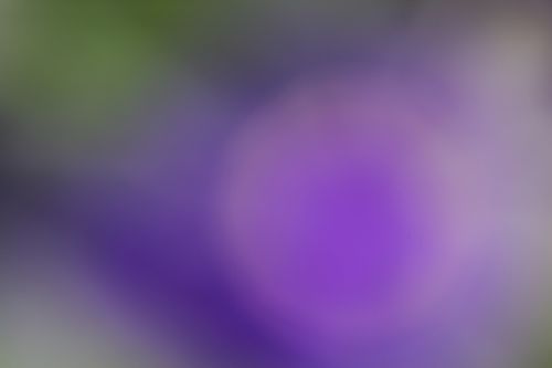 blur abstract art