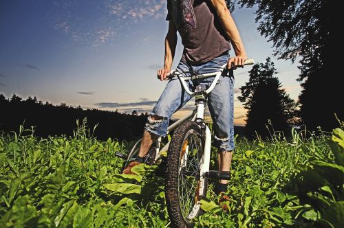 bmx bike forest