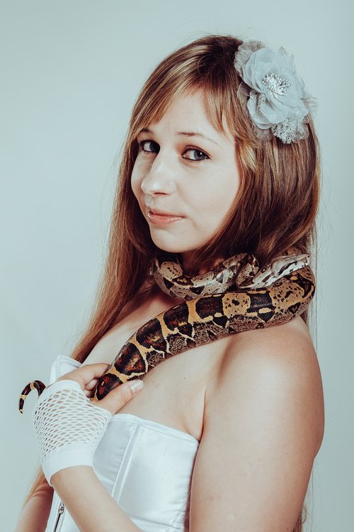boa constrictor  snake  woman