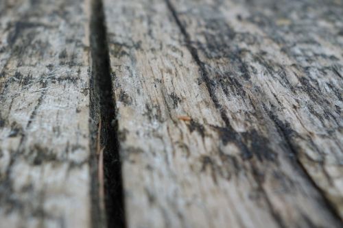 board wood grain