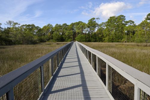 board walk marsh land swamp