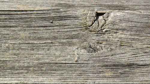 boardood wood texture