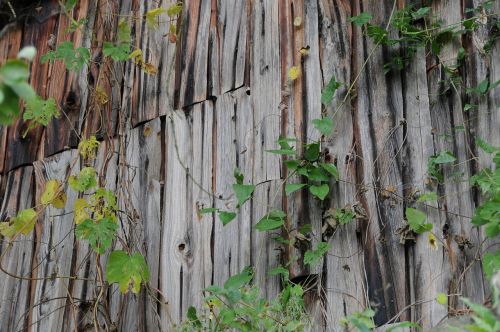 boards hut wood