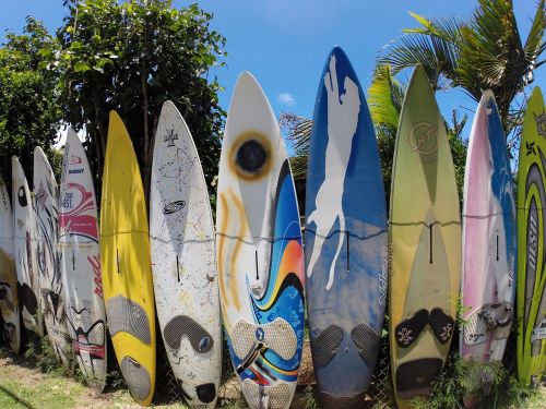 boards hawaii wall