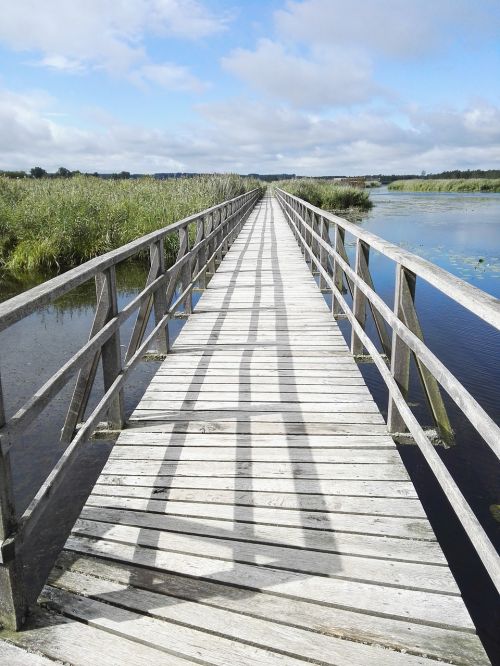 boardwalk lake nature